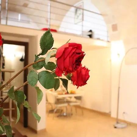 Stelle Del Salento Panzió Lecce